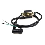 Ignition Coil for Coolster 125cc 3050B ATV-3050B 3050 B3050A 110cc Kids 4 Quad Four Wheeler Roketa Baja Kazuma Meerkat 50cc Falcom 110cc 70cc Chinese Quad ATV Dirt Bike