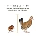Manna Pro Chick Starter | Medicated Chick feed formulated with Amprolium | Prevents Coccidiosis | Feed Crumbles | 25 Pounds