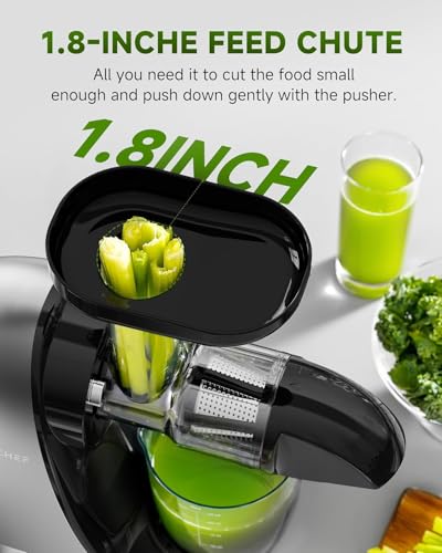 AMZCHEF Cold Press Slow Juicer, Electric Masticating Machine for Fruits and Vegetables, with 2 Cups and Brush, Grey