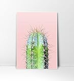 Cactus Print, Minimalist Art, Minimalist Print, Cacti, Modern Art, Cactus Printable Art, Pink and Green, Desert, Art Print, Wall Art, Cacti, Cactus Art Print, Cactus Photography, Photo Print, 8 x 10