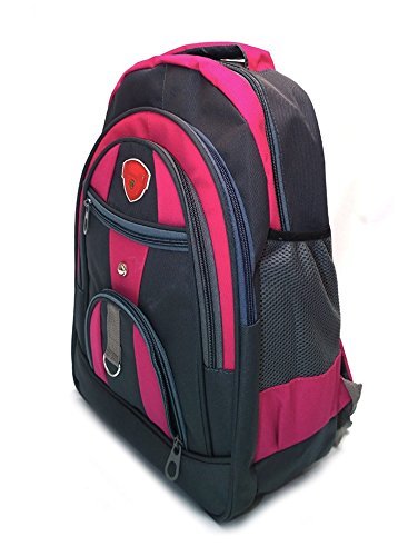 Shaina Bags Polyester 30 Ltr Pink & Grey School Backpack