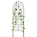 Amagabeli 16 Pack Garden Trellis for Climbing Plants 60