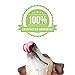 Up and Moving Meal Supplement (30-Pack, Large Dogs Over 60lbs)