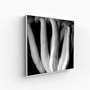 Canvas Wall Art for Living Room, Bedroom Monochrome Image Framed Canvas Prints for Home Decoration Ready to Hang - 16x16 inches