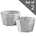 Set of 2 Modern Cement Octagon Planter Pot, 5-Inch Succulent & Cactus Container, Gray