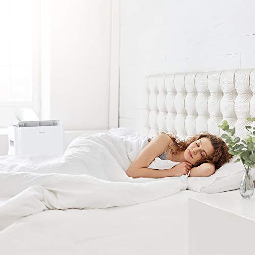 hOmeLabs 12000 BTU Portable Air Conditioner (new CEC 8000 BTU) Quiet