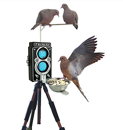 Bird Photo Booth 2 0 Bird Feeder Does Not Include Camera Amazon