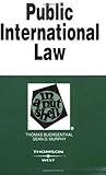 Public International Law in a Nutshell (In a Nutshell (West Publishing))