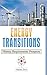 Energy Transitions: History, Requirements, Prospects