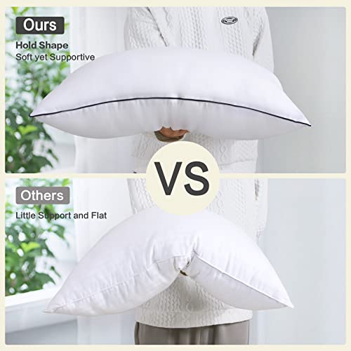 EASELAND Pillows Queen Size Set of 2, Plush Down Alternative Pillows