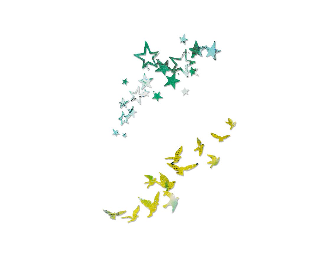Sizzix Thinlits Die Set 662673, Birds & Stars, 2 Pack