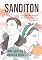 Livro Sanditon: Uma continuidade da obra inacabada de Jane Austen