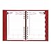 Brownline 2020 CoilPro Daily Appointment Book/Monthly Planner, Bright Red, 8 x 5 Inches (CB634C.Red -20)