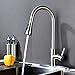 Stainless Steel Kitchen Faucet with Pull Down Sprayer, High Arc Single Handle Faucets for Kitchen Sink with Deck Plate, Brushed Nickel, Naturous