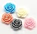 Housweety 100 Mixed Resin Flower Embellishments Jewelry Making Findings 14x6mm(1/2