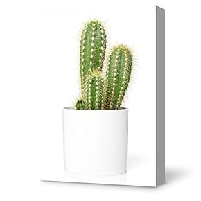 Canvas Wall Art Plant Succulents Plant Office Canvas Painting Wall Poster Decor for Living Room Wooden Framed Home Decorations - 12x18 inches