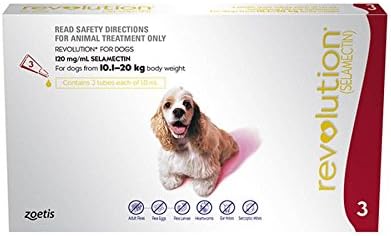 revolution for dogs amazon