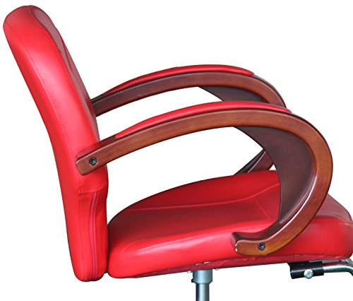 Eastmagic Beauty Salon Chair Stations Furniture Equipment (Red)