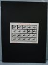 Eadweard Muybridge (Electa Editrice Portfolios)