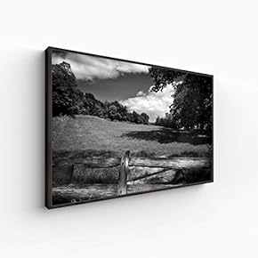 Canvas Wall Art for Living Room, Bedroom Monochrome Landscape Framed Canvas Prints for Home Decoration Ready to Hang - 16x24 inches