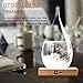 Storm Glass Weather Stations Water Drop Weather Predictor Creative Forecast Nordic style Decorative Weather Glass