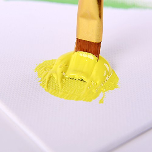 Mont Marte Canvas Panel 6 Pack, 12 X 16 inches, Canvas Panel Boards Great for Students to Professional Artists