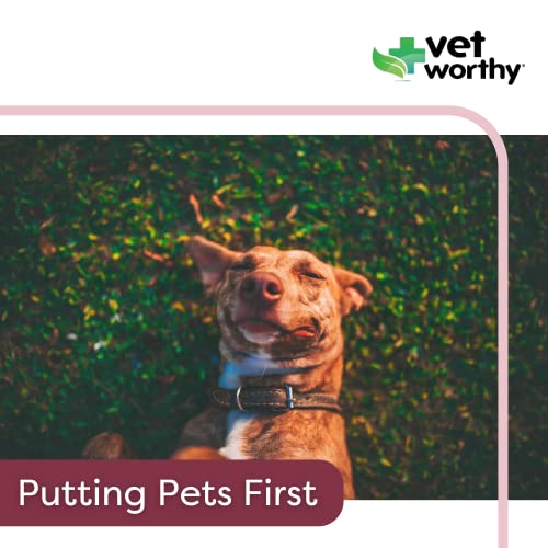 Vet Worthy AntiDiarrhea for Dogs Dog Supplement to Help Relieve