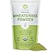 Neurogan Organic Wheat Grass Powder (1lb) - USDA Organic Raw Wheatgrass Concentrate, Rich in Vitamins, Fiber, Chlorophyll and Trace Minerals, Increase Blood Cell Oxygen, Reduce Inflammation, Non-GMO
