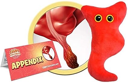 plush appendix