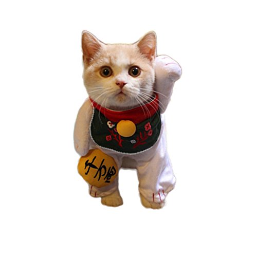 WeeH Dog Costume Halloween Cat Clothing Cosplay Japan Style Pet Clothes for Doggy Kitty Rabbits Pig Fun Christmas Gift, Lucky Cat