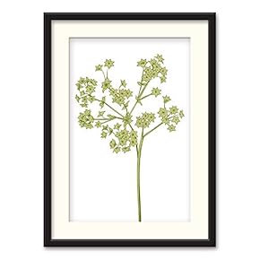 Black Framed Nordic Style Plant Home Artwork for...
