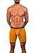 Obviously Lumber Collection - AnatoFREE Boxer Brief 9 inch Leg (Large, Old Gold)