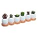 MyGift Set of 6 White Egg Shell Design Ceramic Succulent Planter Pots w/Orange Saucers
