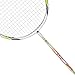 Senston Badminton Set, Two Graphite Shaft Badminton Racquet,Badminton Racket Set,Including Badminton Bag and 2 badminton with grip,2 Set.