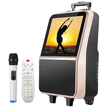 portable trolley bluetooth speaker