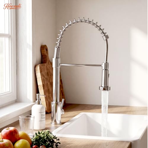 Heemli Torneira Cozinha Gourmet Monocomando Aço Inox Com Spray Extensor,Torneiras Misturadoras de água Quente e Fria,Dois Modos de Distribuição de água（Jatos de água e chuveiros） (Prata)