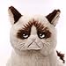 Gund Grumpy Cat Plush Stuffed Animal Toy