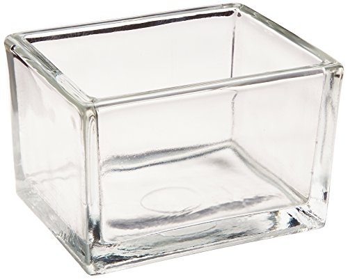 Thermo Scientific Richard-Allan Scientific 102 Glass Staining Dish for Complete Manual Staining Assembly 100