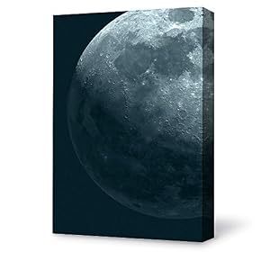 for Living Room Bedroom Home Artwork Paintings Beautiful Moonlight