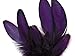 Moonlight Feather | 1 Dozen - Purple Whiting Farms Laced Hen Saddle Feathers Craft Halloween Fly Tying
