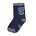 Harry Potter Socks Set of 5 - Adult Size 6 to 12 - Official Harry Potter Licensed by Cinereplicas