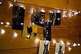 McGee Worldwide 16.4 Ft Photo Clip String Lights 2-in-1-40 Clear Removable Photograph Clips and Decorative Copper Wire with Bright White LED Bulbs - for Artwork, Pictures, Cards