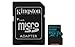Kingston Canvas Go! 64GB microSDXC Class 10 microSD Memory Card UHS-I 90MB/s R Flash Memory Card with Adapter (SDCG2/64GB)