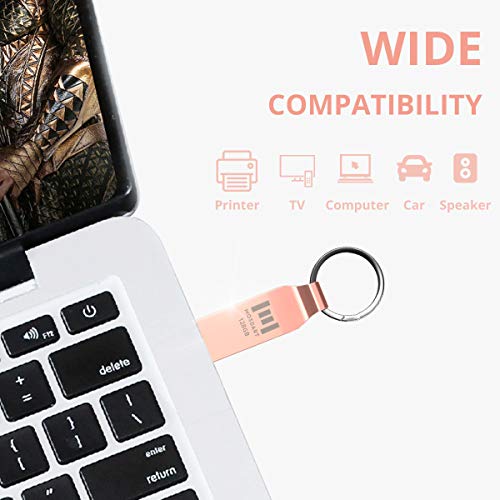 MOSDART 128GB exFAT USB 2.0 Flash Drive Metal Thumb Drive with Keychain