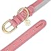 Blueberry Pet Leather Dog Collar for Large Dogs - Pink & Grey Classic Striped Design, Large Size 18