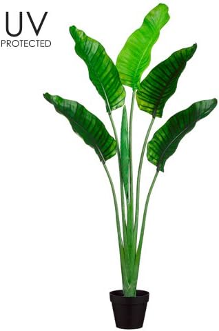 64" UV Protected Plastic Bird of Paradise Plant in Pot Green (Pack of 2)