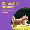 Bob Martin Clear | Cat Wormer Tablets, Suitable for Kittens | Clinically Proven Effective Treatment (2 Tablets)
