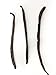 Slofoodgroup - Gourmet Madagascar Bourbon Vanilla Beans - Premium Grade A Vanilla Pods - 5 Count - For Cooking, Baking, and Vanilla Extract