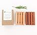 2 Pack Soap Dish, Draining Dish for Our Shampoo Bars & Conditioner Bars, 100% Natural Poplar Wood, No Chemical Varnish, Lacquer or Stain is Used, Handmade in The USA (Regular)