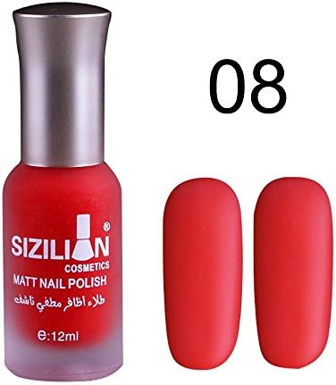 Quartly 12ml Matte Dull Nail Polish Fast Dry Long Lasting Nail Art Matte Nail Polish Gel (H)